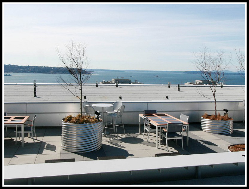 Roof Deck 2